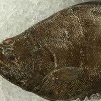 Какая рыба самая полезная: ТОП-8 сортов