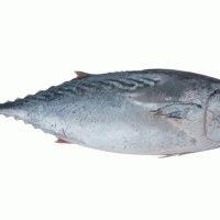 Какая рыба самая полезная: ТОП-8 сортов